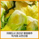 구로-구로-구로-2047 이미지