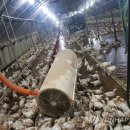 호우농장 이미지