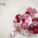 빅스트로