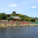 꽃과 한옥 이미지