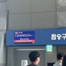 [Spain] 56일간 나 홀로 유럽 배낭 여행ㅣIN 바르셀로나(티웨이 직항 후기 및 동행, 바르셀로나 둘러보기)