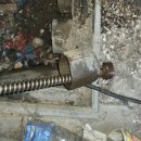 상록유도관 이미지