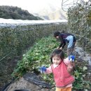 소민농장 이미지