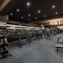 자마이카 피트니스 앤 스파 이미지