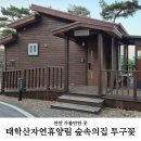 태학산 자연휴양림 숲속의집 투구꽃 방문후기