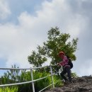 갑수씨랑 3박4일 화순여행 2일째- 화순 (옹성산. 572m, 2021.7.12)산행 이미지