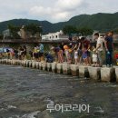 다슬기 반딧불이 이미지