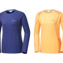 니트디자인(야간) 이미지