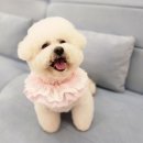 공생마케팅 | 블로그 마케팅 대행으로 수익 내려면? 숨고 블로그 마케팅 비용, 후기 알아보고 결정하세요!