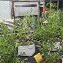 샘골농장 이미지