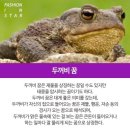 오늘도대박나는집