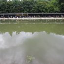 대영낚시터 이미지