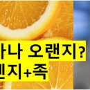 특허법인프렌즈