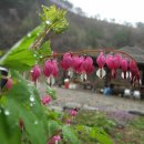 약초산방 이미지