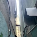 세림한약방 | 호텔 명동, 을지로 맛집투어 1박2일 호캉스 후기 🎀(을지로 세림, 임마지노, 신세계 떡볶이, 커피한약방)
