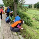 덕암천 충청매일