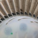 가온크리닝 이미지