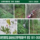 주식회사 잎새삼