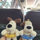 [뚝섬한강] 2024.8.7 폭염경보 중 한강카약 후기, 서울이색체험 추천(포시즌카약패들보드윈드서핑)
