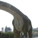 고성공룡박물관야영장 이미지