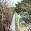 홍릉초교 이미지