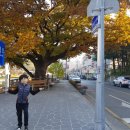 부성태권도장 이미지