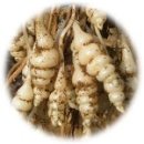 영서농장 이미지