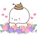 녹스카페 이미지