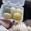 우리밀 만두찐빵 이미지