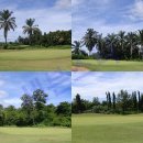 스타골프클럽 이미지