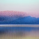 조류탐사과학관 이미지