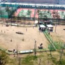 화성시청 축구장 이미지