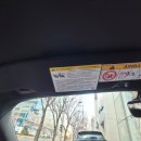 머스탱블루