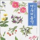 쉽게 배우는 감성 수채화 이미지