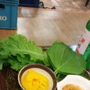 스끼지 이미지
