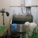 그랜드24시동물병원 이미지