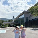 영월 동강시스타 숙박, 수영장 이용후기-올여름 마지막 물놀이 여행(25.09.06~07)