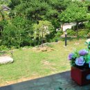 해피펜션 이미지