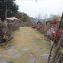 발효네 민박 이미지