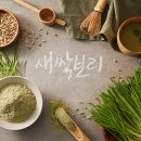 보리다움