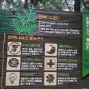 놀차 이미지
