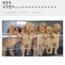 완산공원(아래) | 덥다 금지 별로다 금지 전주 2박 3일 여행