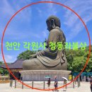 석가모니 목재불상 | 천안 각원사 여행기 청동좌불상 성종각 대웅보전