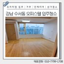 사이룩스 이미지