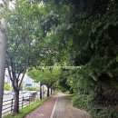 유천1동마을회관 이미지