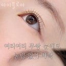 아이플로아