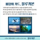 블루사이언스 이미지