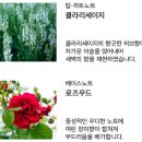 아로브 이미지