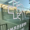 행복튼튼동물병원 이미지