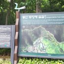 ◈ 봉산 편백나무 무장애 숲길 트레킹 이미지